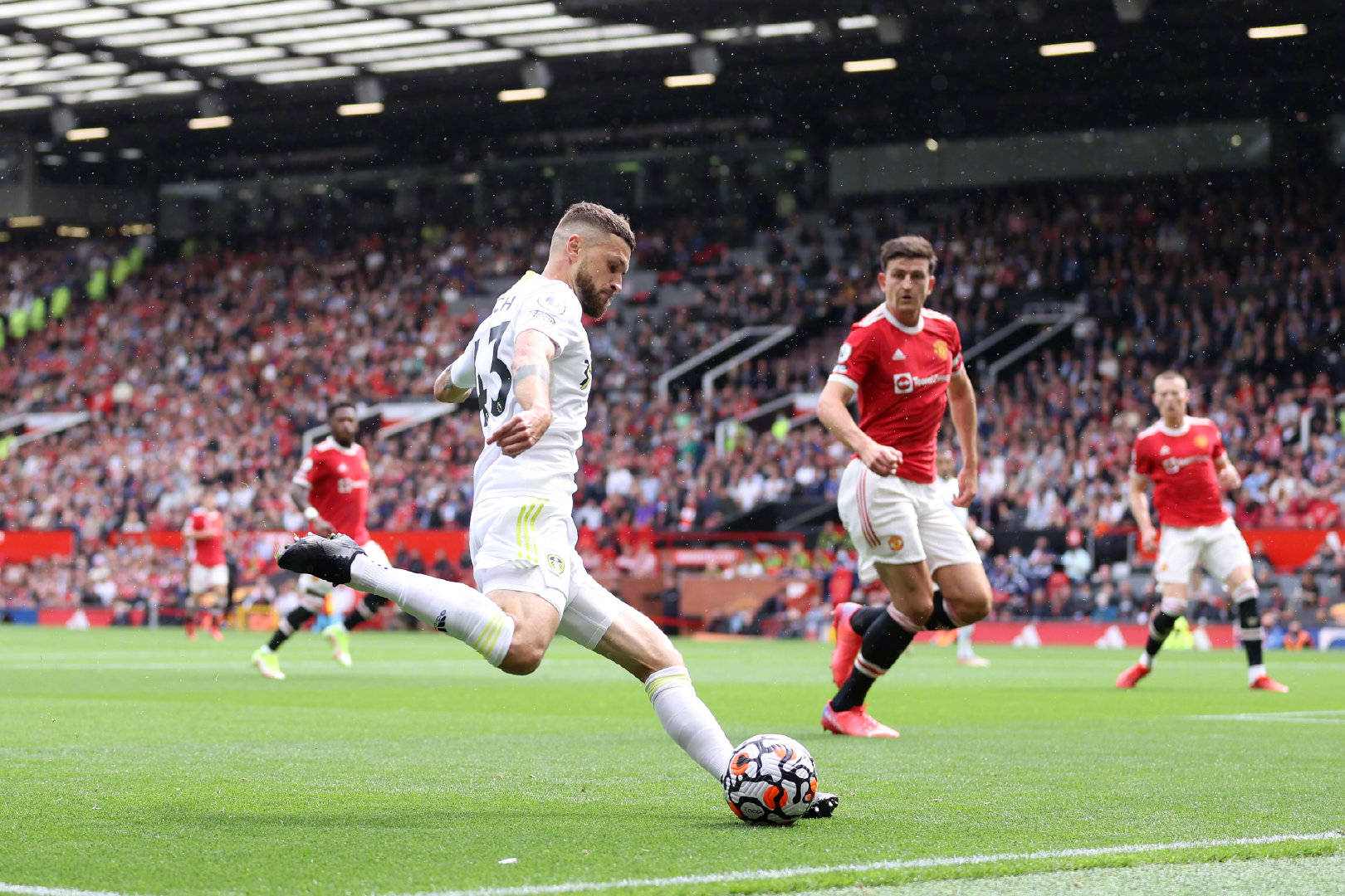 巩固了他的 巩固了他的